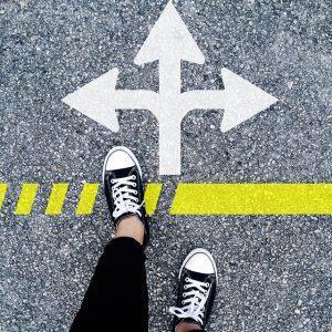 orientation et formation guide des choix en sellerie