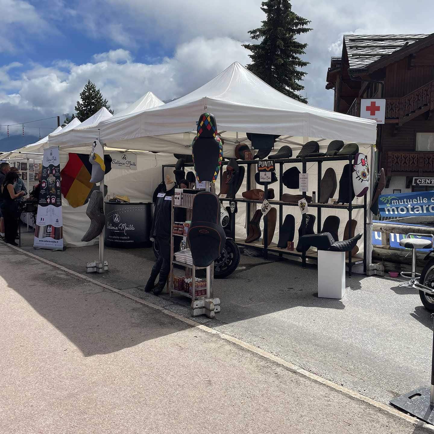 Punta 2023 1 1 punta-2023-sellerie-moillo-2